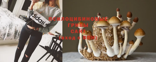 соль курить ск Белокуриха
