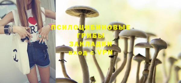 хмурый Белоозёрский