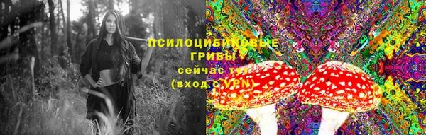 меф Богородск