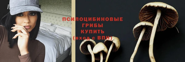 соль курить ск Белокуриха