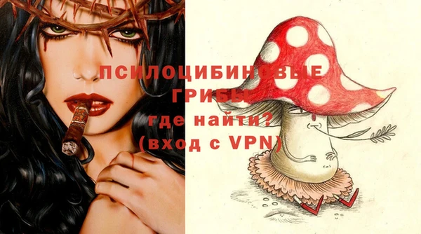 соль курить ск Белокуриха